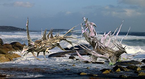 (4) Playing Monsters